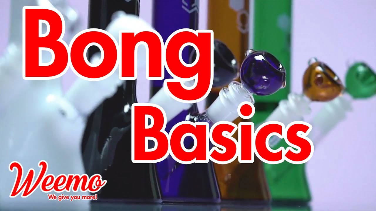 Bongs 101: Bong Basics
