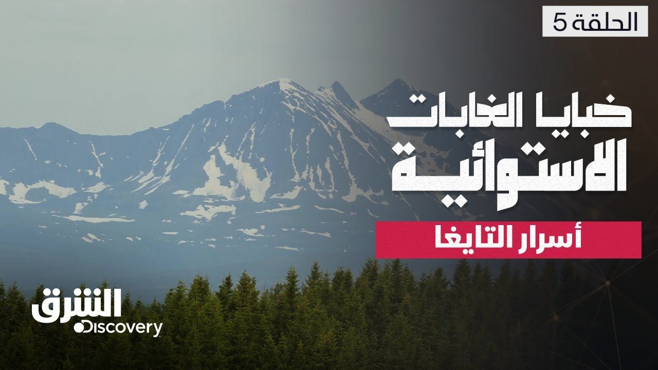خبايا الغابات الاستوائية - أسرار التايغا - الحلقة 5 | الشرق ديسكفري