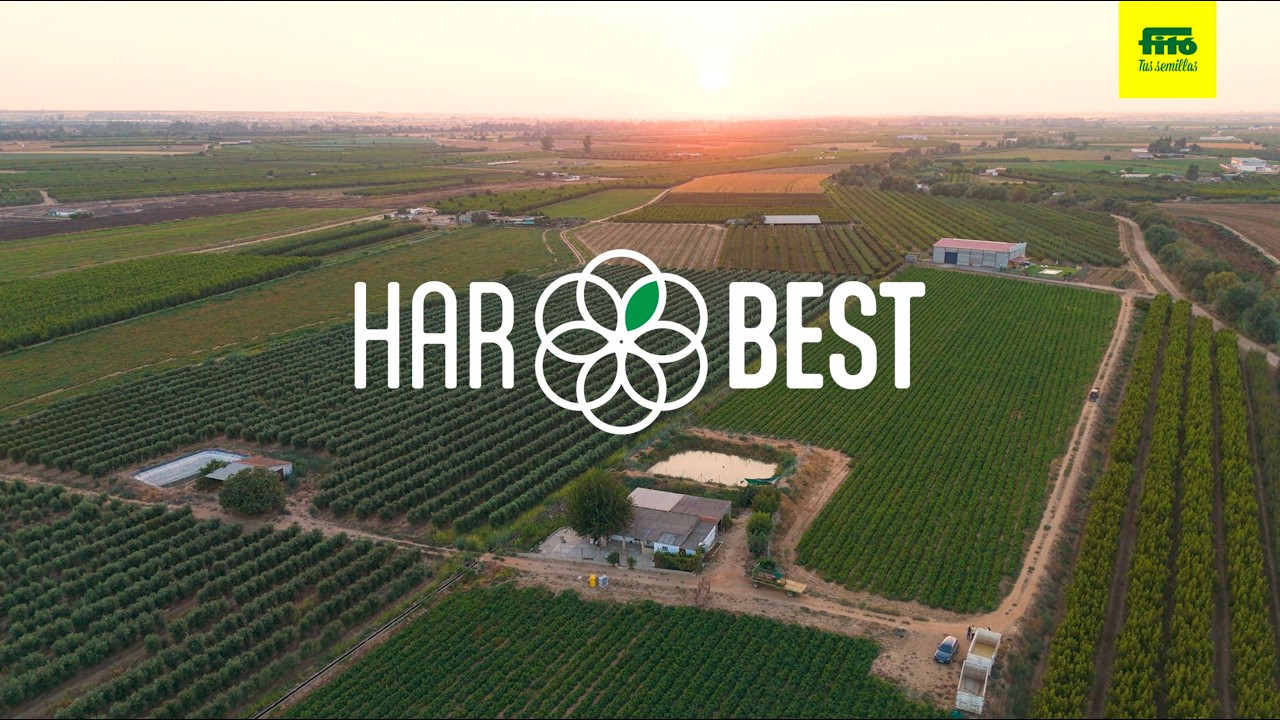 Semillas Fitó. HARBEST