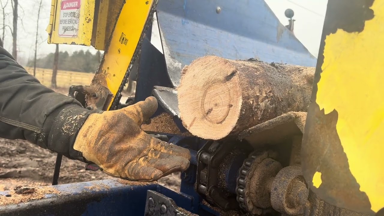 Day #4 of firewood production 
