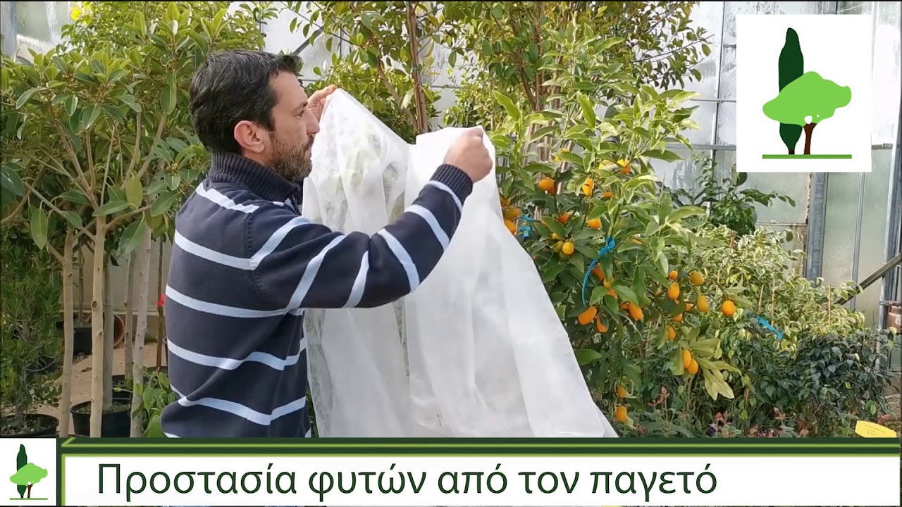 &Pi;&rho;&omicron;&sigma;&tau;&alpha;&sigma;ί&alpha; &phi;&upsilon;&tau;ώ&nu; &alpha;&pi;ό &tau;&omicron;&nu; &pi;&alpha;&gamma;&epsilon;&tau;ό