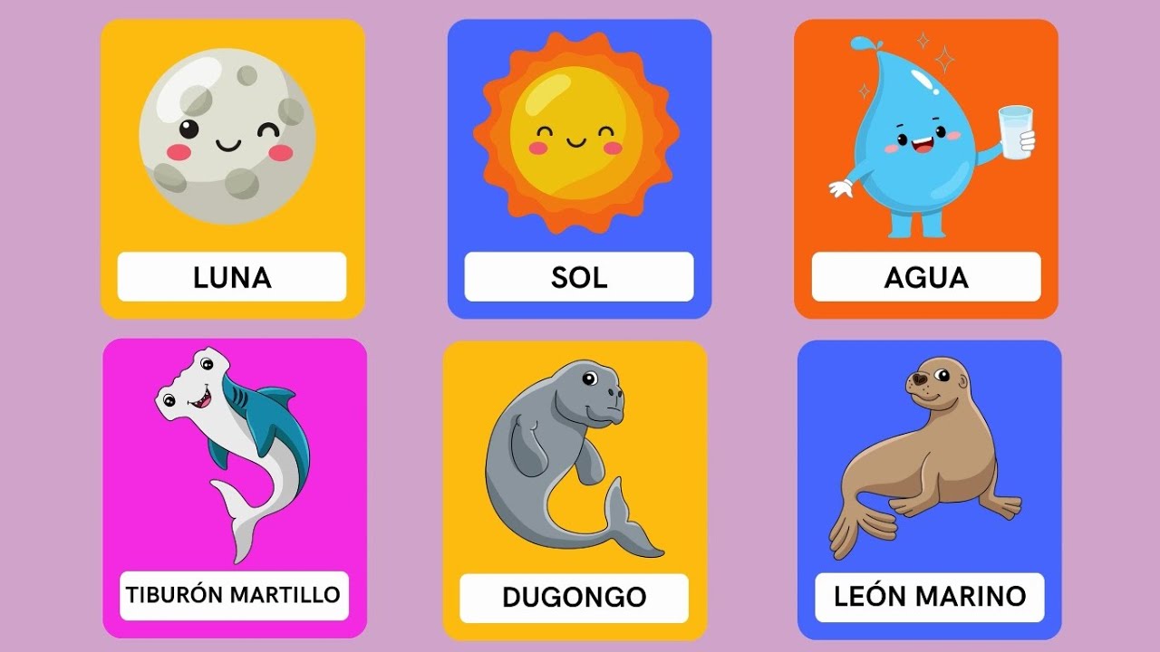 🔴📚✨ Aprende 6 Palabras Educativas en Español para Niños y Niñas 🧒👧 | Video Divertido y Didáctico
