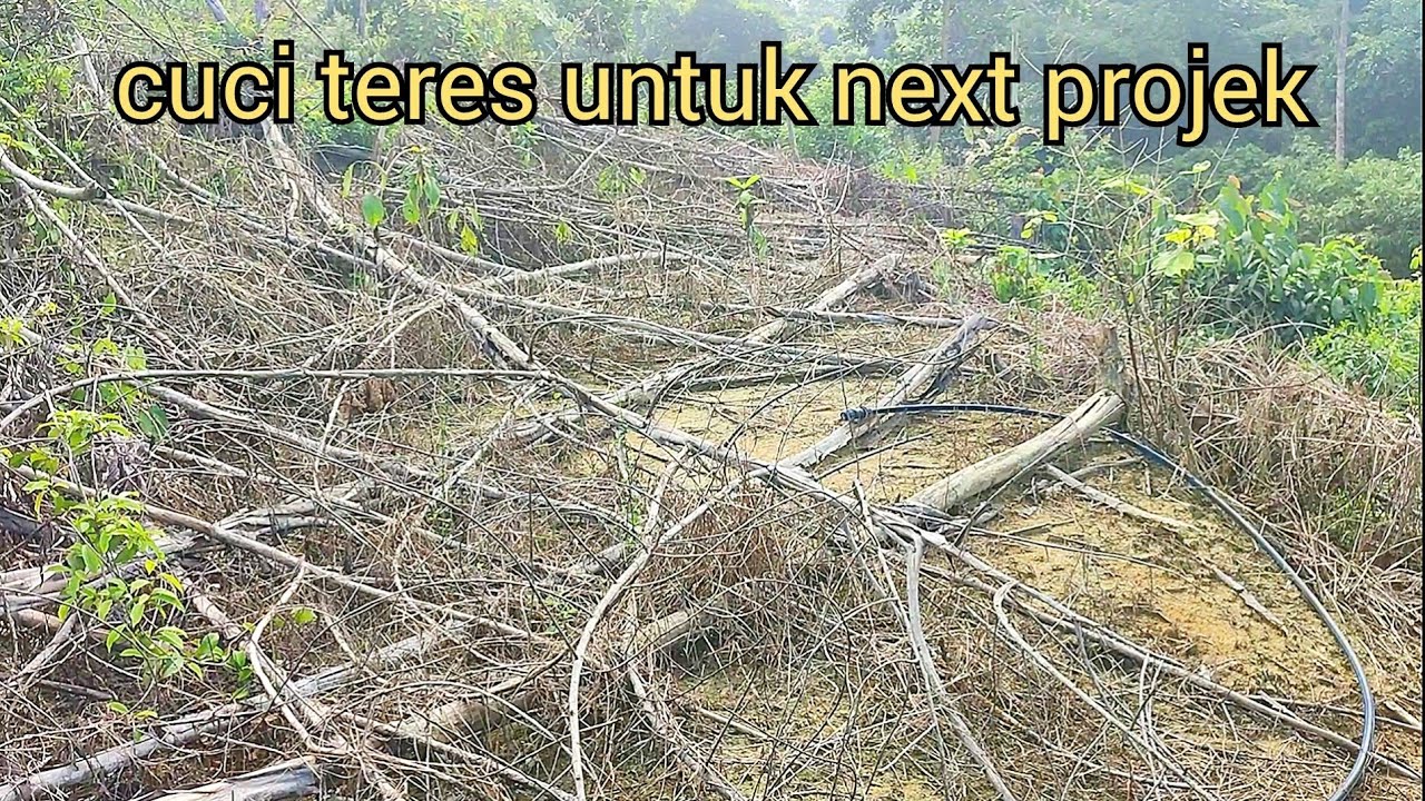 cuci teres untuk next projek