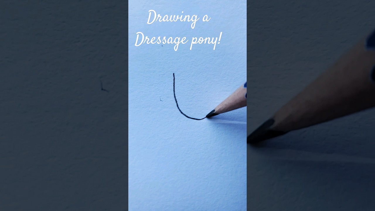 Drawing a dressage pony#horsedrawn #pencildrawing #artist #equestrian