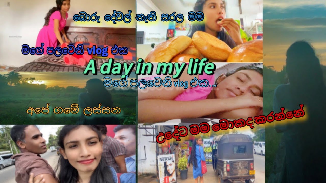 මන් උදේ ඉදන් කරපු දේවල්... මම අම්මලා එක්ක සතුටින් ඉන්න විදිය... my first vlog
