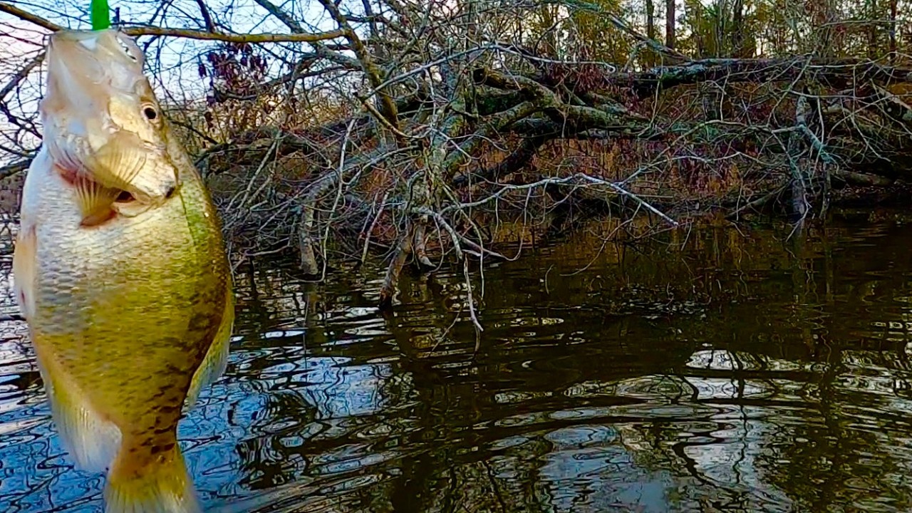February Creek Crappie Fishing