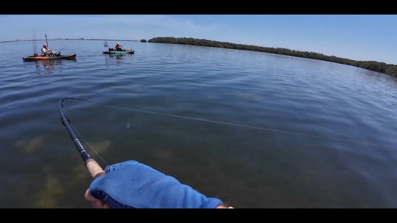 Kayak Fishing Adventure in St. Petersburg, Florida, Trout and Tarpon Hunting