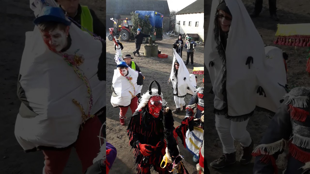Koza Milzyn i kozuchny Rabinowo 2018