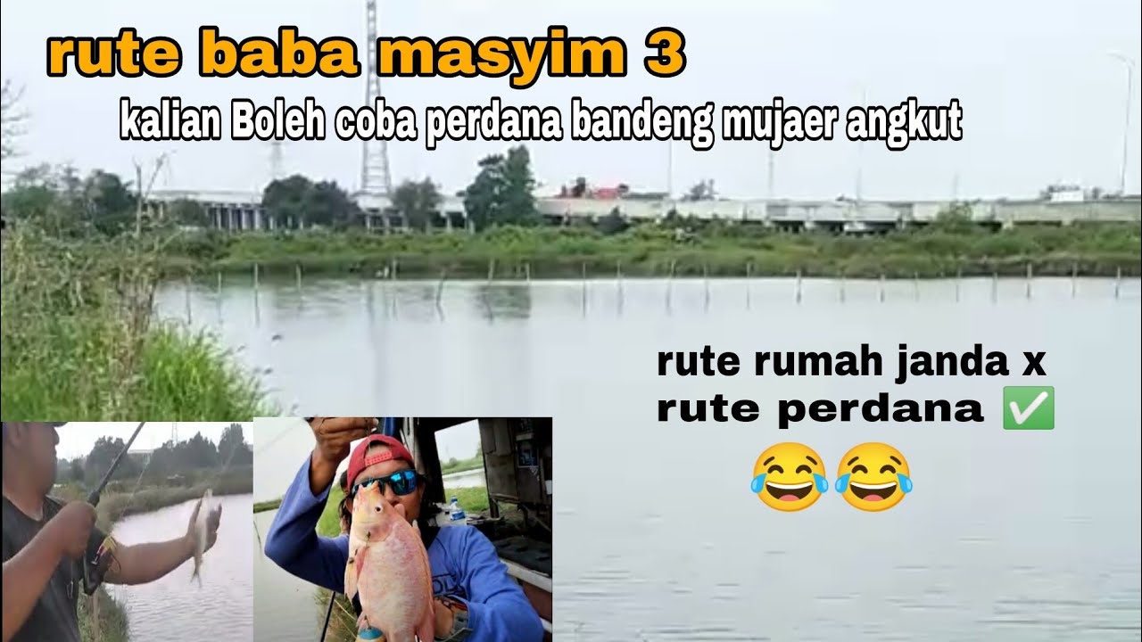 Rute Empang perdana empang baba masyim 3 bandeng mujaer angkut ikannya tebek tebek