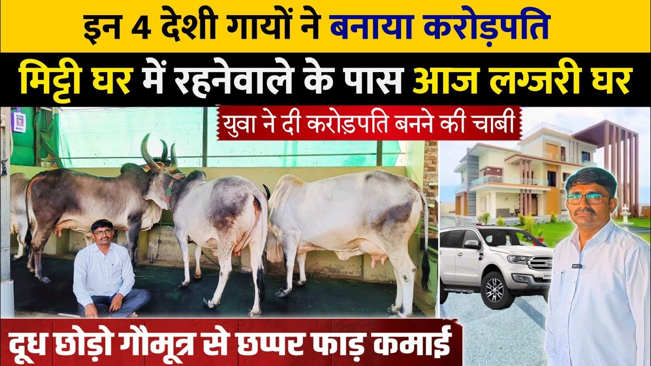 गायों ने रातों रात युवा को बनाता 💰 अमीर 🎉 .  Kankrej Gaushala in Banaskantha.