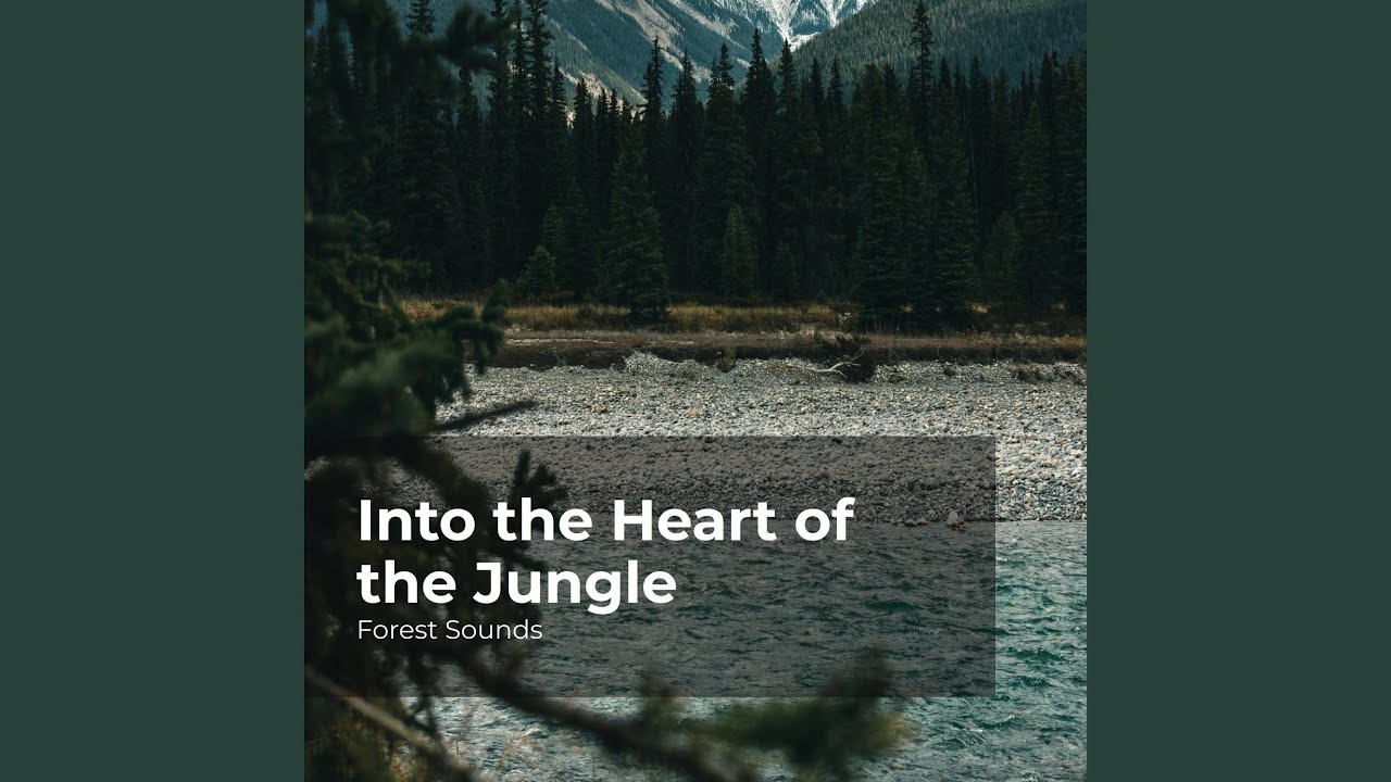 Into the Lush Woods