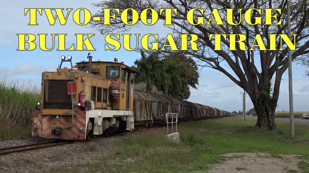 Two   Foot Gauge Bulk Sugar Train