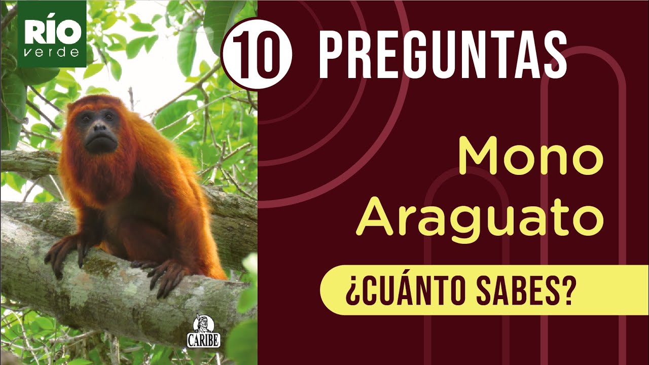 Cuestionario sobre el mono Aragüato o Aullador