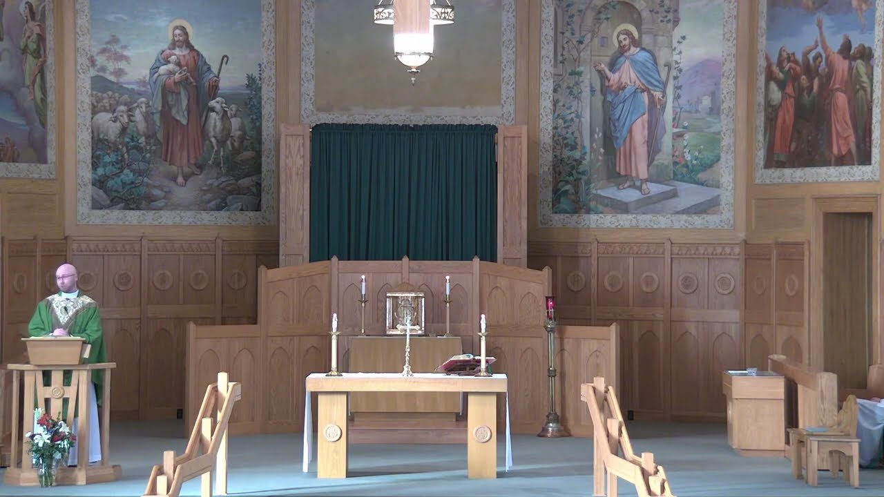 7th Sunday in Ordinary Time Homily - Fr. Kyle Doustou