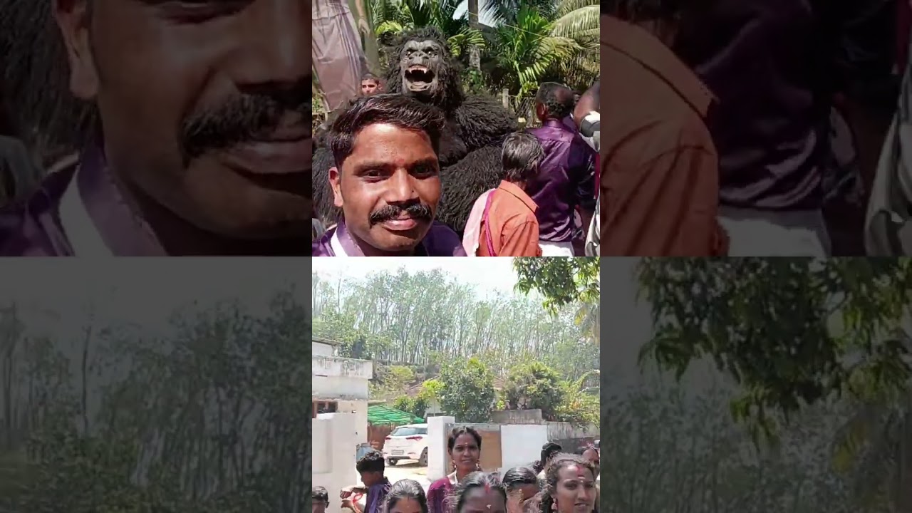 എളനാട് ശ്രീ തെണ്ടൻ കാവിൽ അമ്മയുടെ  താലപ്പൊലി മഹോത്സവം