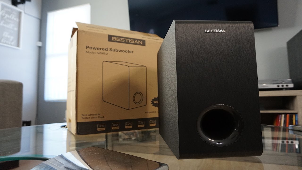 Bestisan Powered Subwoofer - Review