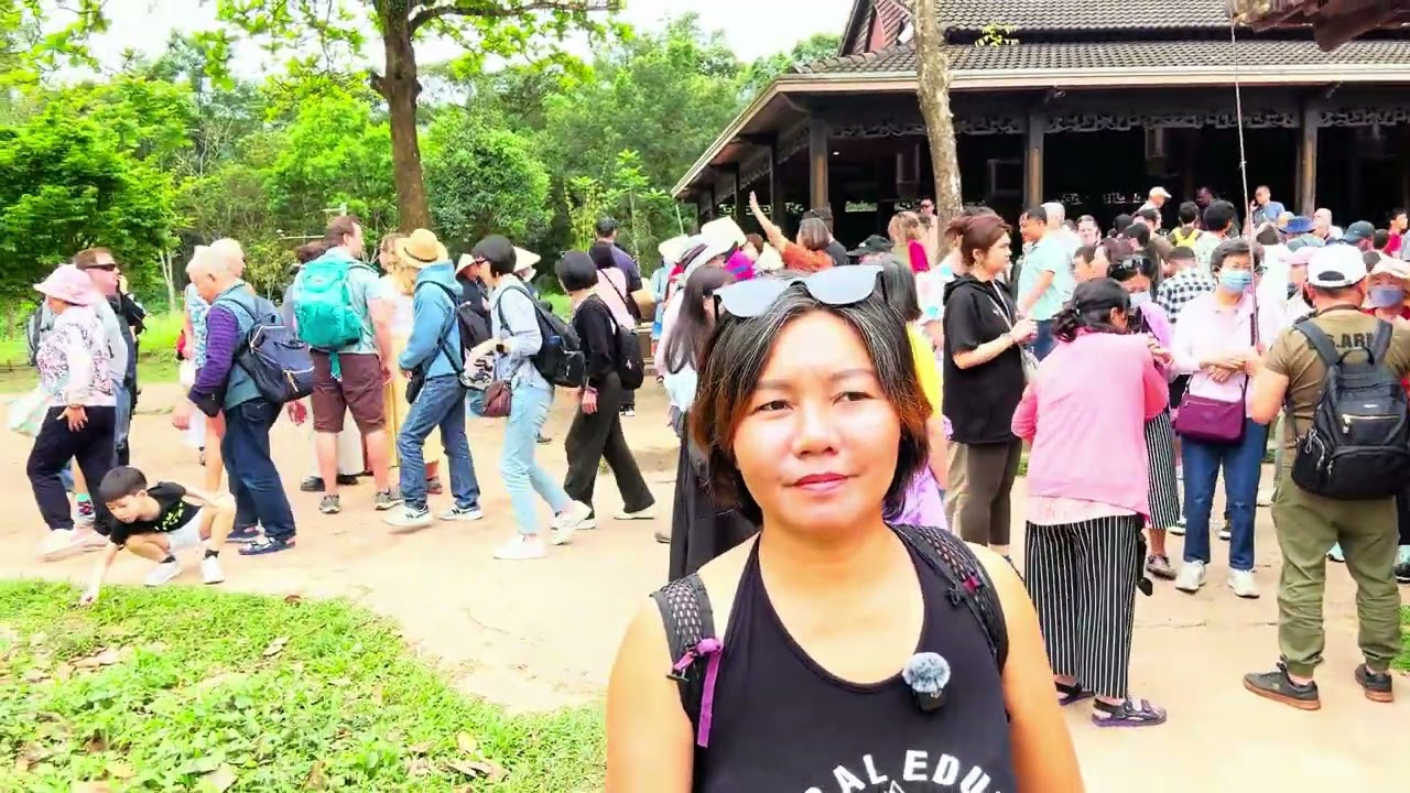 “Quá Xuất Sắc! Thánh Địa Mỹ Sơn 1500 Năm – U50 Nghỉ Hưu Ăn Mì Quảng Cả Ngày Ở Quảng Nam