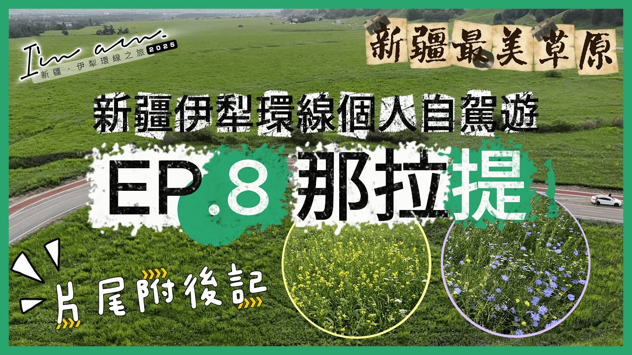 【新疆自駕遊】EP.8 空中草原那拉提 | 我認為是今趟新疆最美的草原｜片尾附有兩個「後記」，關於民宿老闆有趣分享撞死馬賠大錢事件，及民宿認識一班廣州人一起於民宿吃喝、聞歌起舞【I'm am..】
