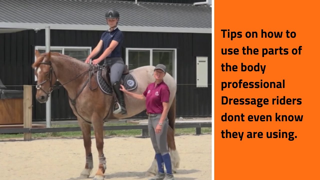 The Dressage aids explained and how to improve your position.