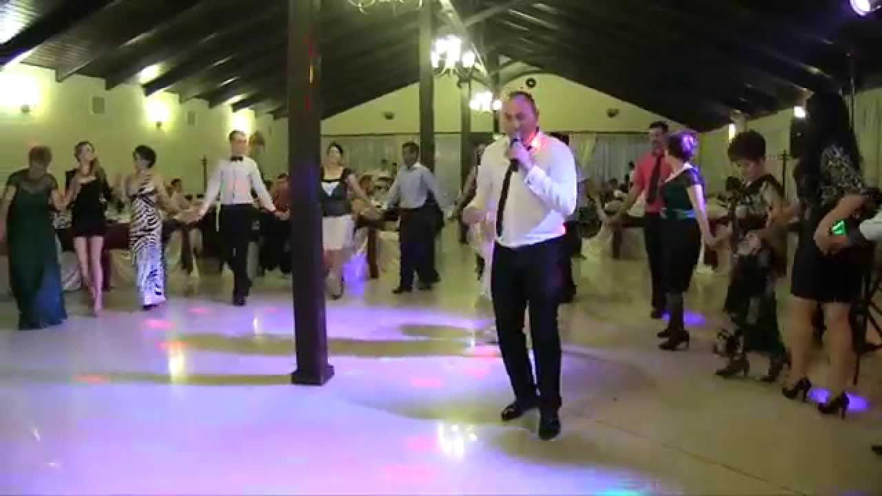 Nicusor Romanu, Dan de la Listeava si Sorin Romanu- sarbe live 1 Iunie 2014 Hanul Andritei Craiova