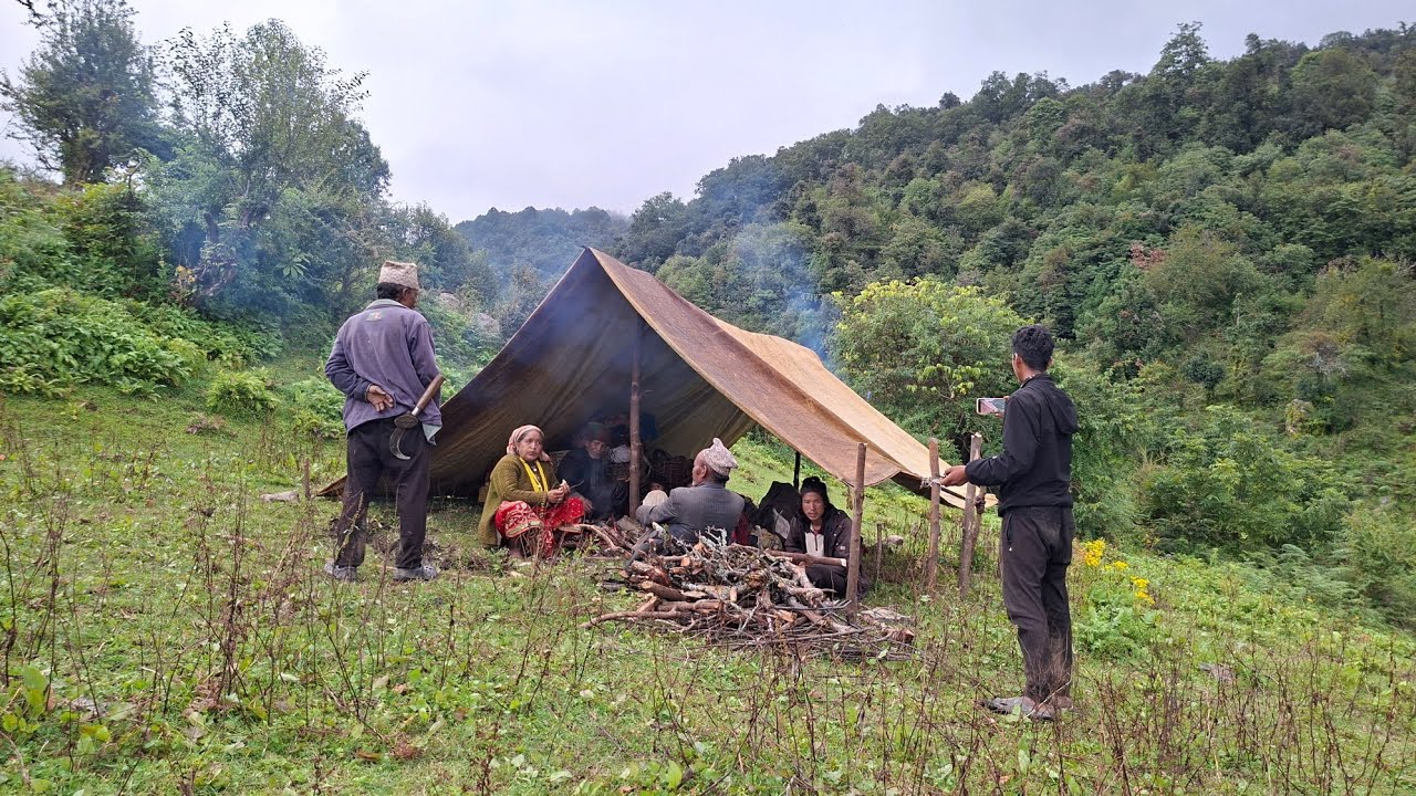 Best is Western Himalayan Shepherd Lifestyle During Havey Rainy Hardwork Organic Food Cookig Eating.