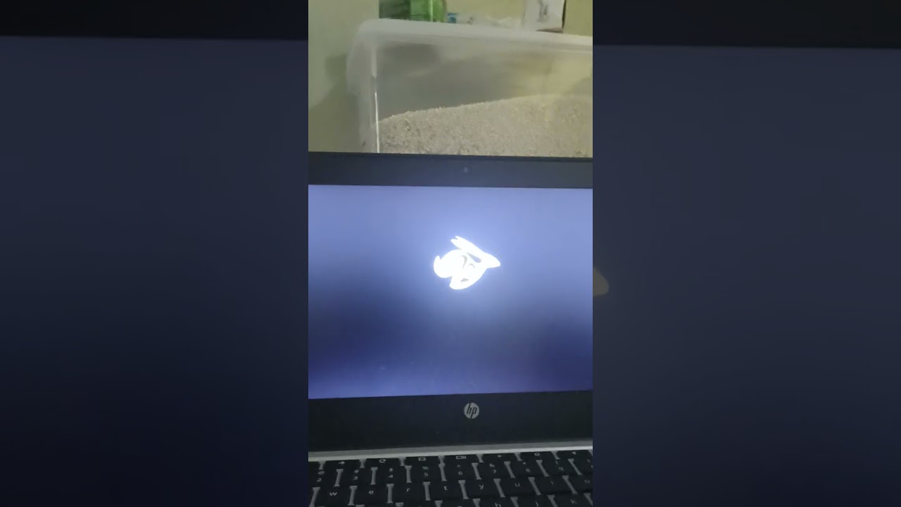 hp Chromebook 11 G3 (kip)  uefi shell stuck change order boot