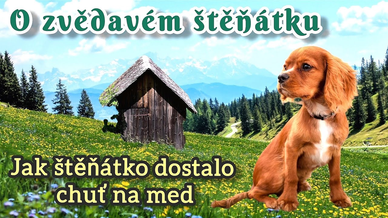 O zvědavém štěňátku - 3/4 Jak štěňátko dostalo chuť na med
