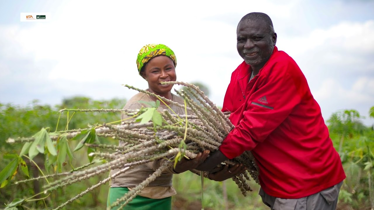 Celebrating International Women's Day 2026 - 'Give To Gain'