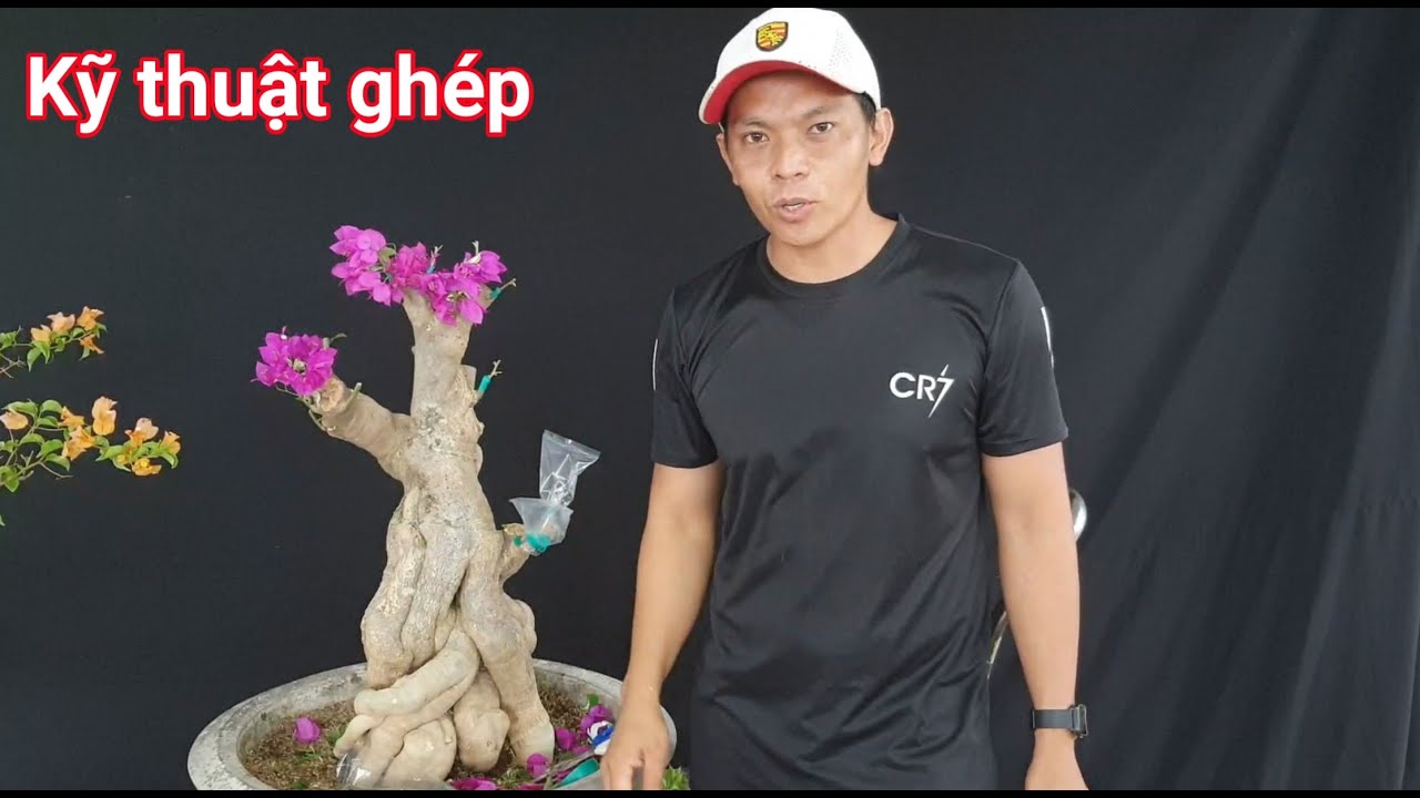 Hướng dẩn kỹ thuật ghép bông giấy đơn giản siêu hoa nhiều người không biết