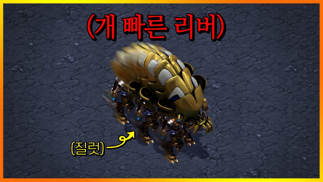 질럿 머리 위에 올라탄 리버.