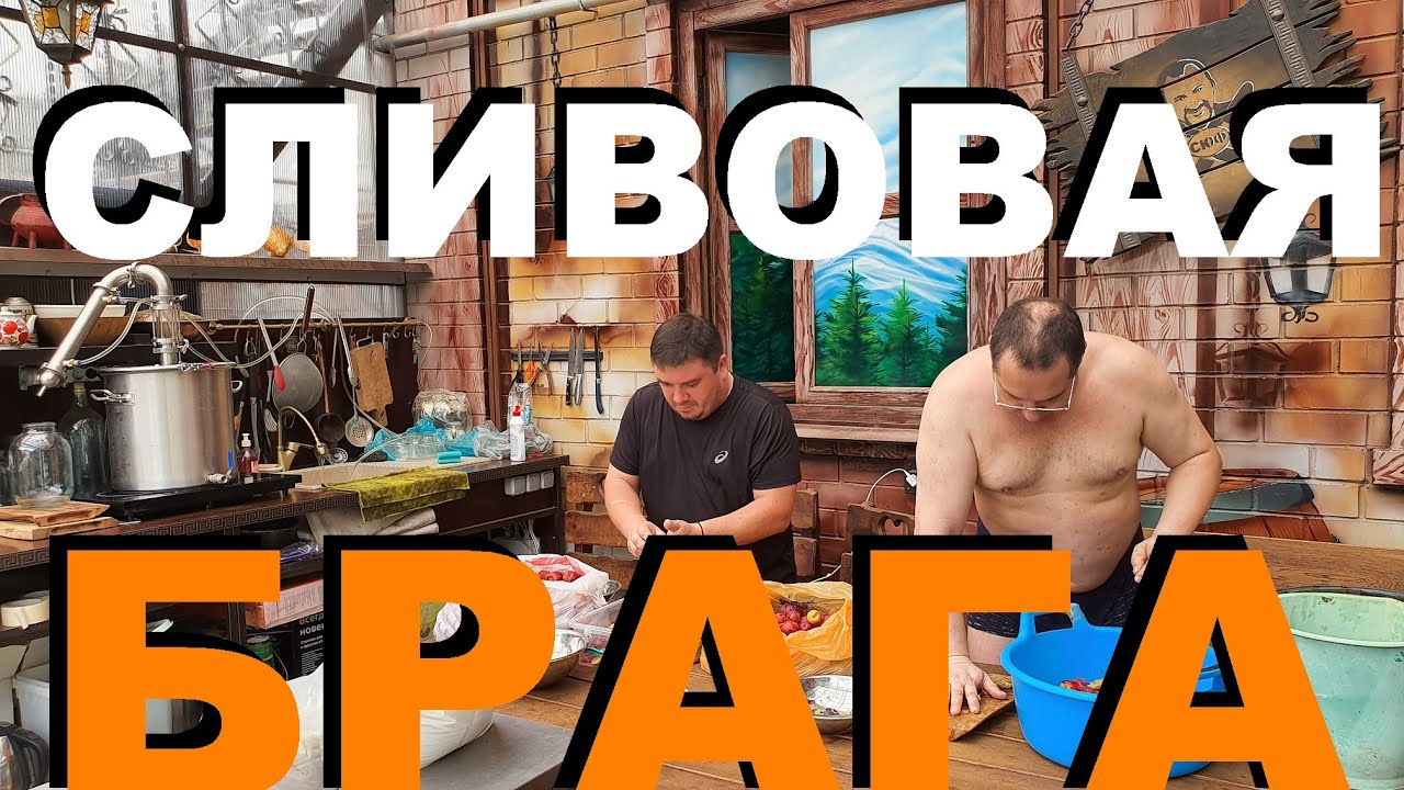 СЛИВОВАЯ БРАГА РЕЦЕПТЫ СЮФ