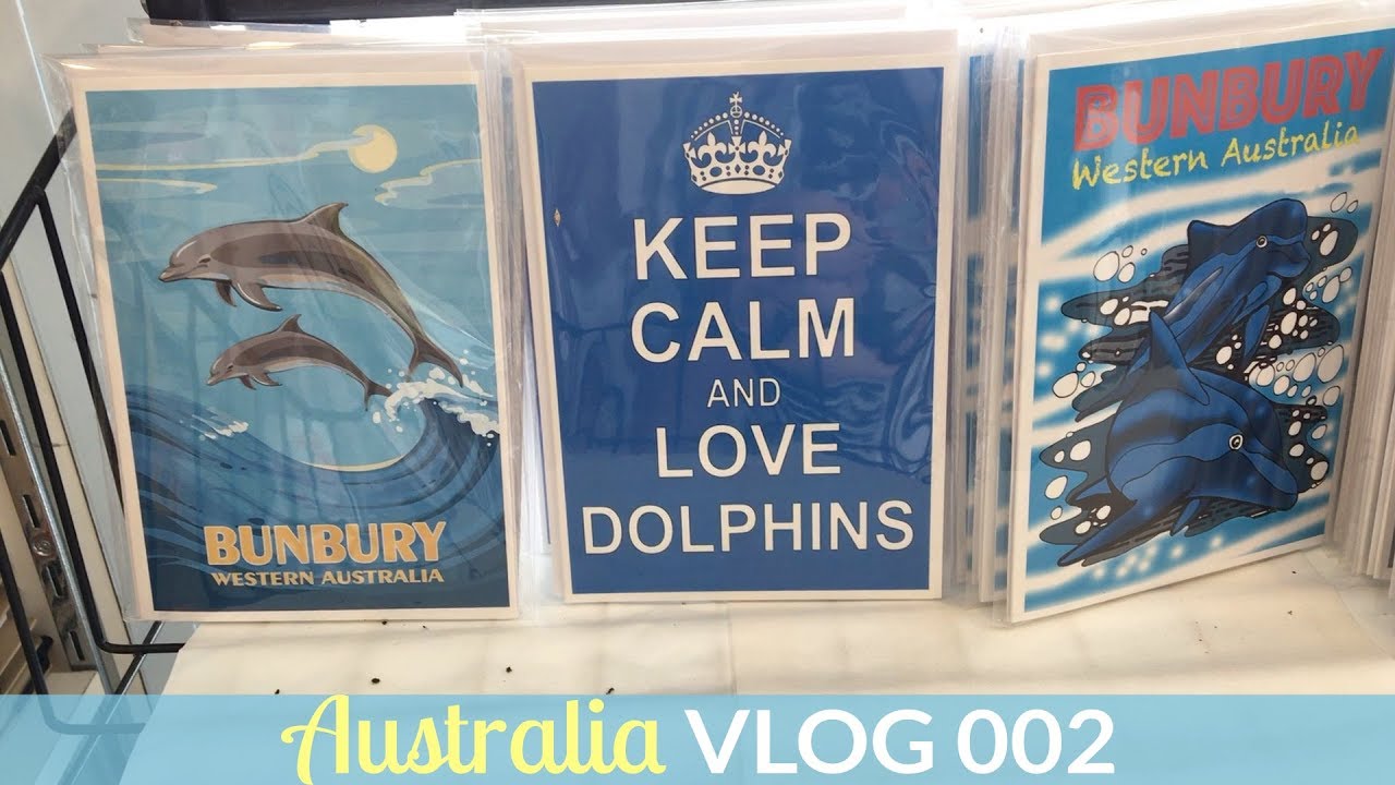DOLPHIN DISCOVERY CENTER | AustraliaVLOG - Episode 002
