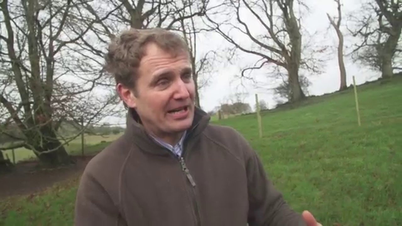 Peter Young meets organic farmer Richard Moeran