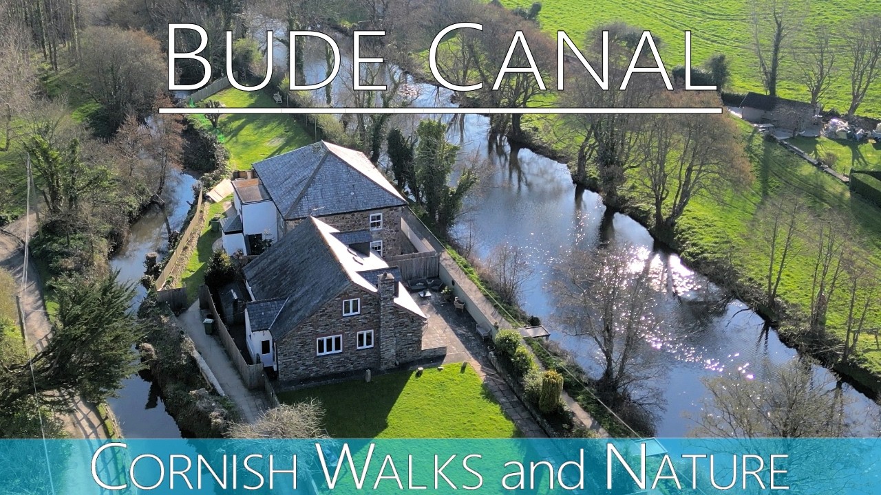 Bude Canal; stunning birds & beautiful scenery in early spring