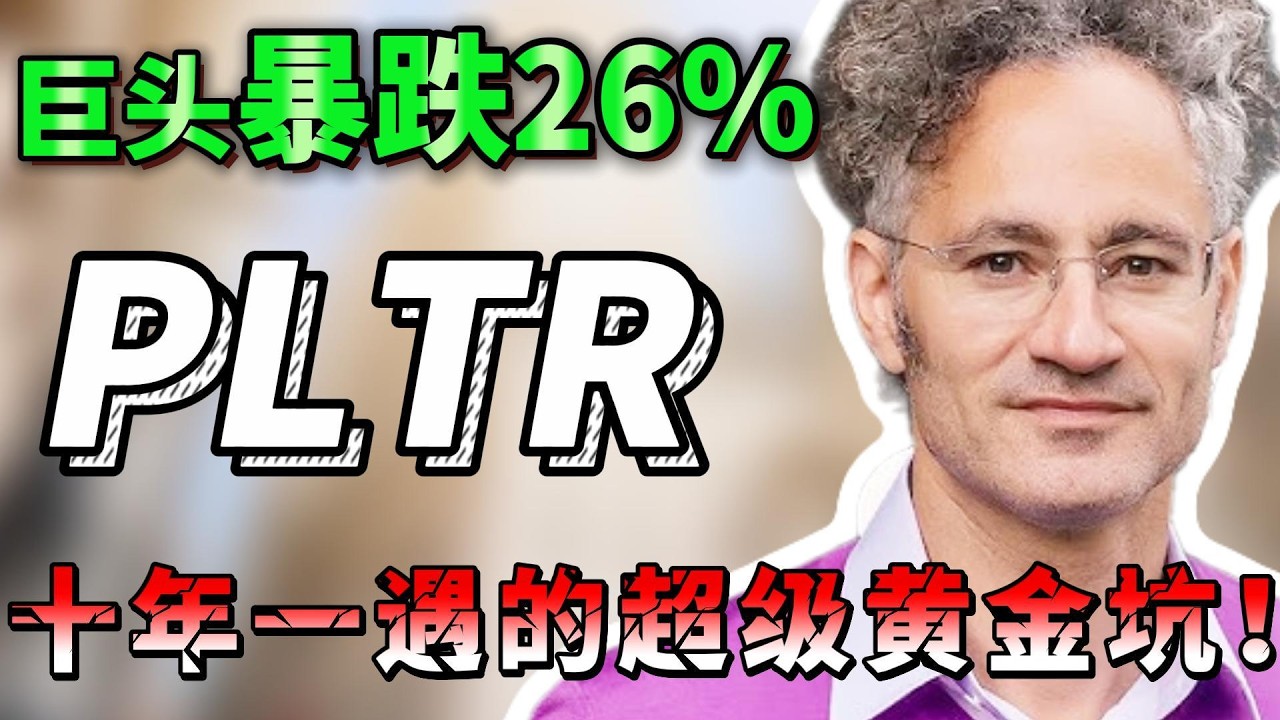 巨头暴跌26%，木头姐抄底，特朗普力挺，聪明钱疯狂布局！全网唱空的PLTR，可能是你这一生错过的最大机会！错过后悔一辈子，必看！   PLTR#美股 #抄底 #trading