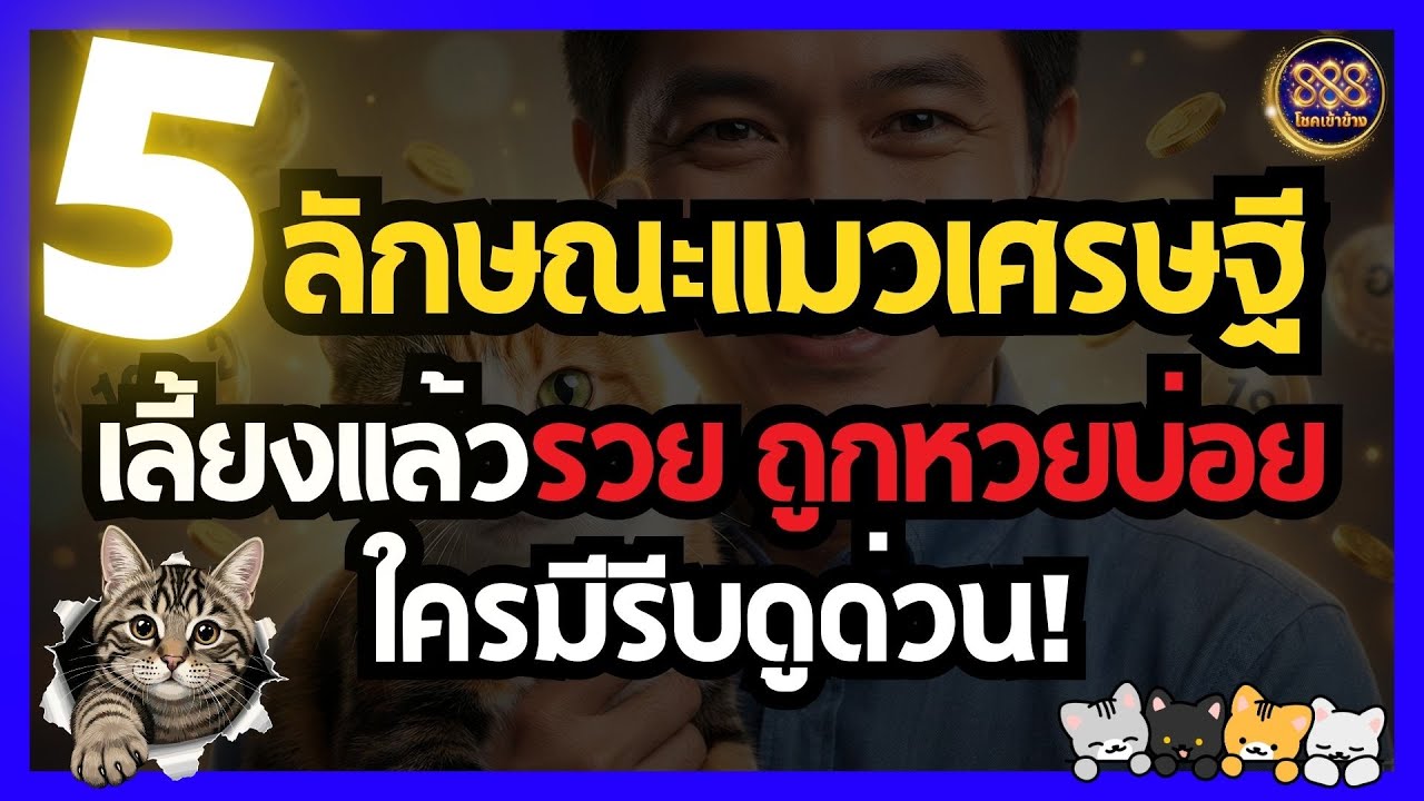 5 ลักษณะแมวเศรษฐี เลี้ยงแล้วรวย ถูกหวยบ่อย ใครมีรีบดูด่วน! #โชคเข้าข้าง888