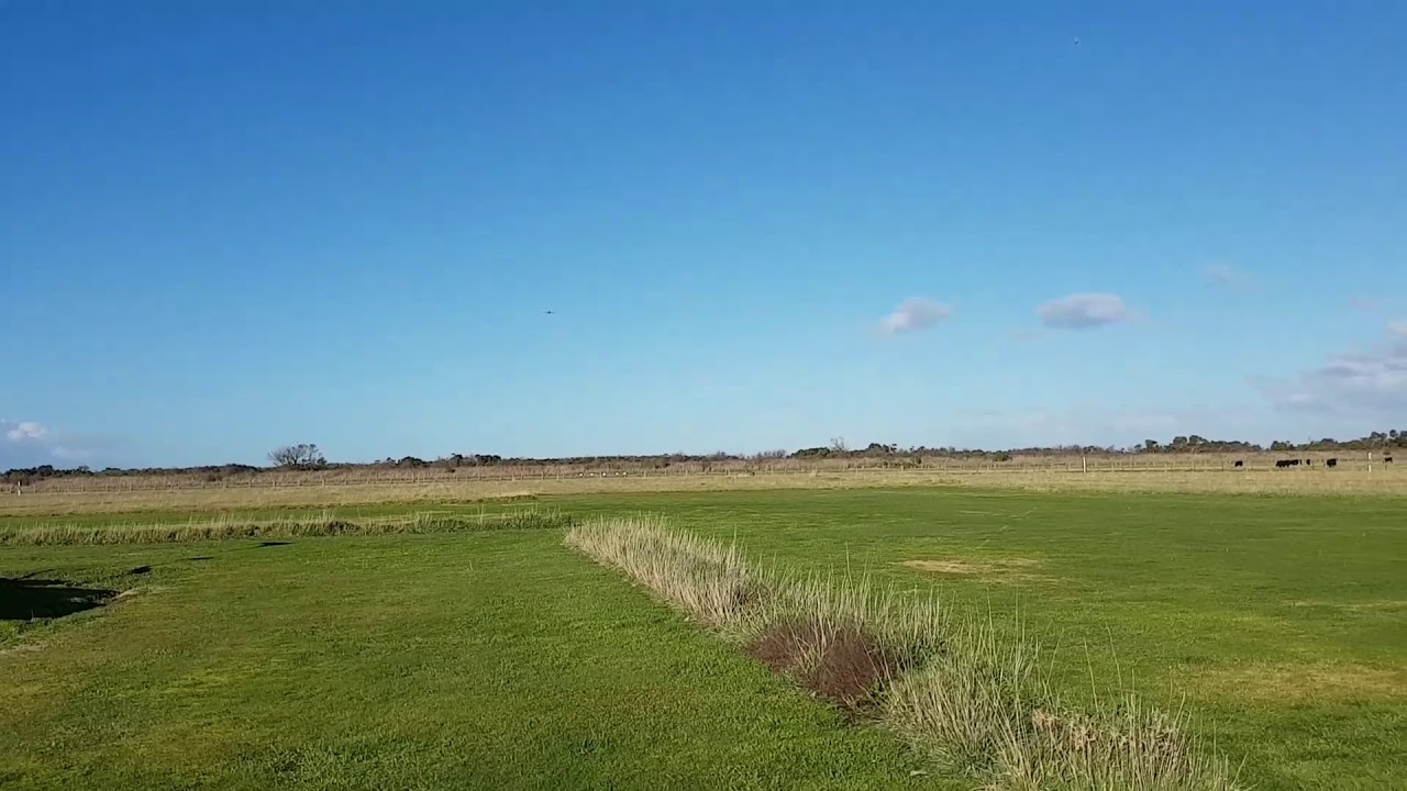 PDarcs fun flying pt 8