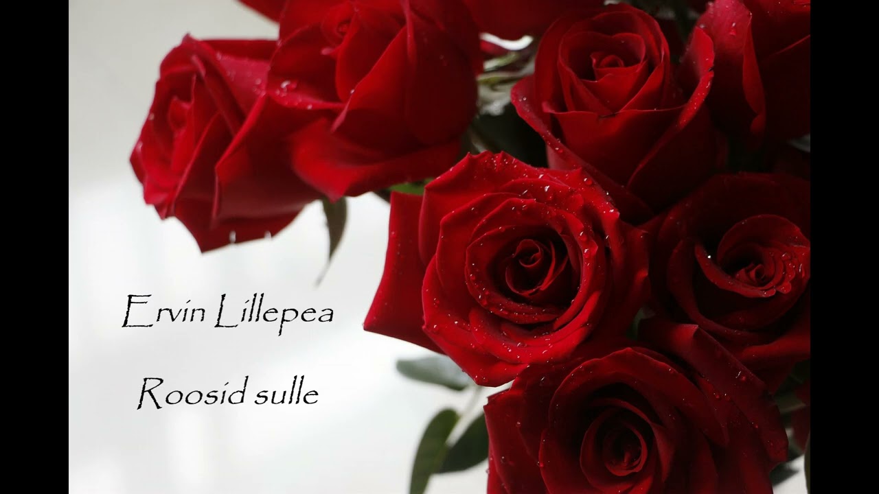 Ervin Lillepea- Roosid sulle