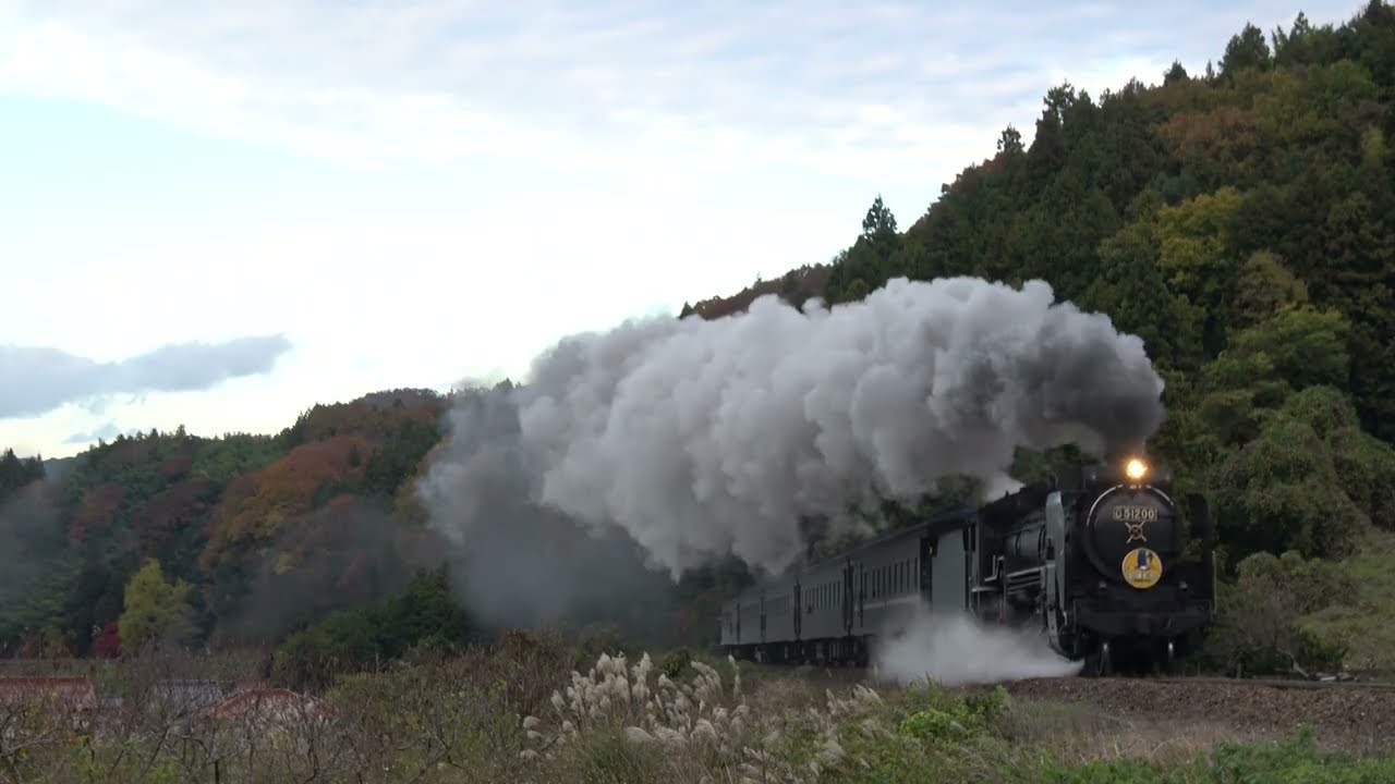 Steam Locomotive Train Yamaguchi   D51200 in Japan 20251123 -24