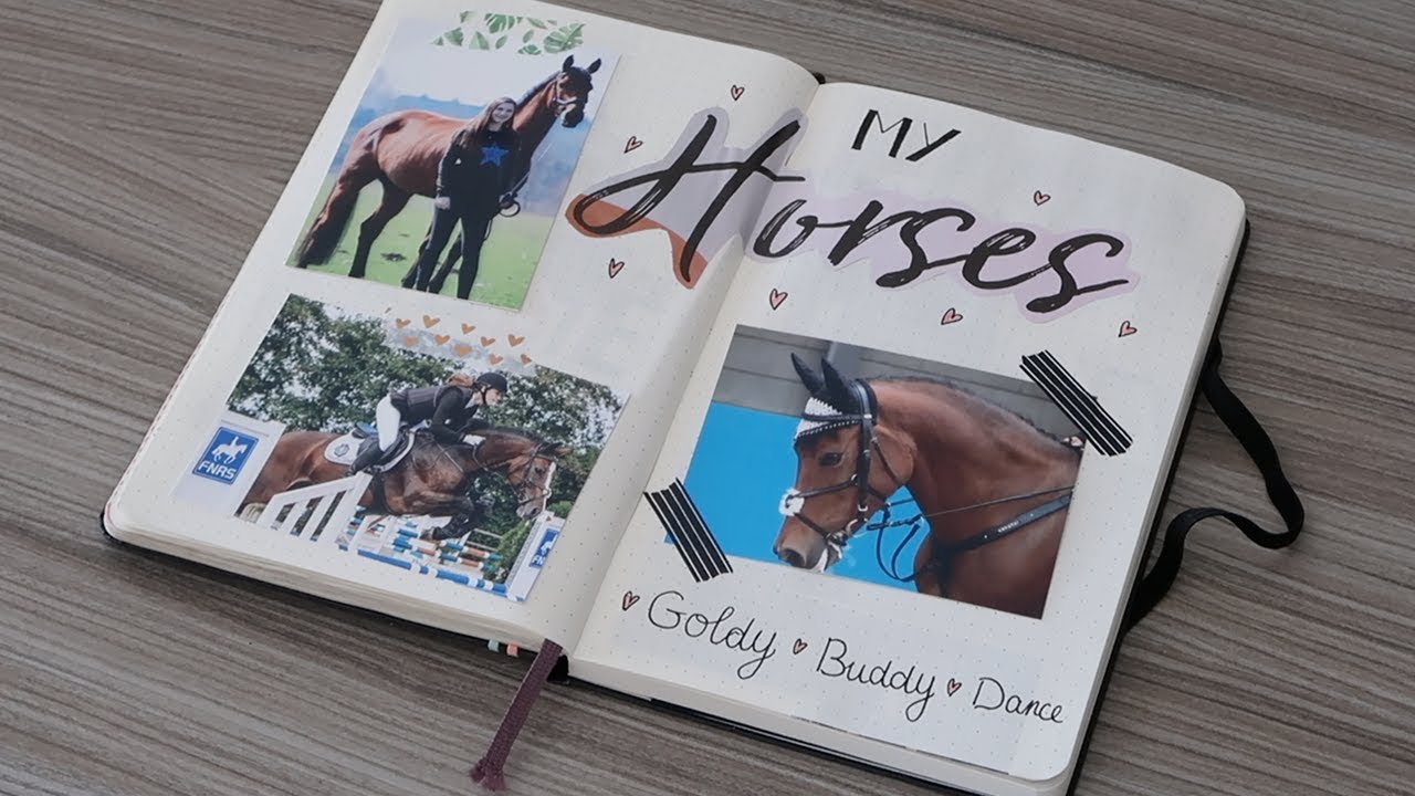 Horse Bullet Journal #5