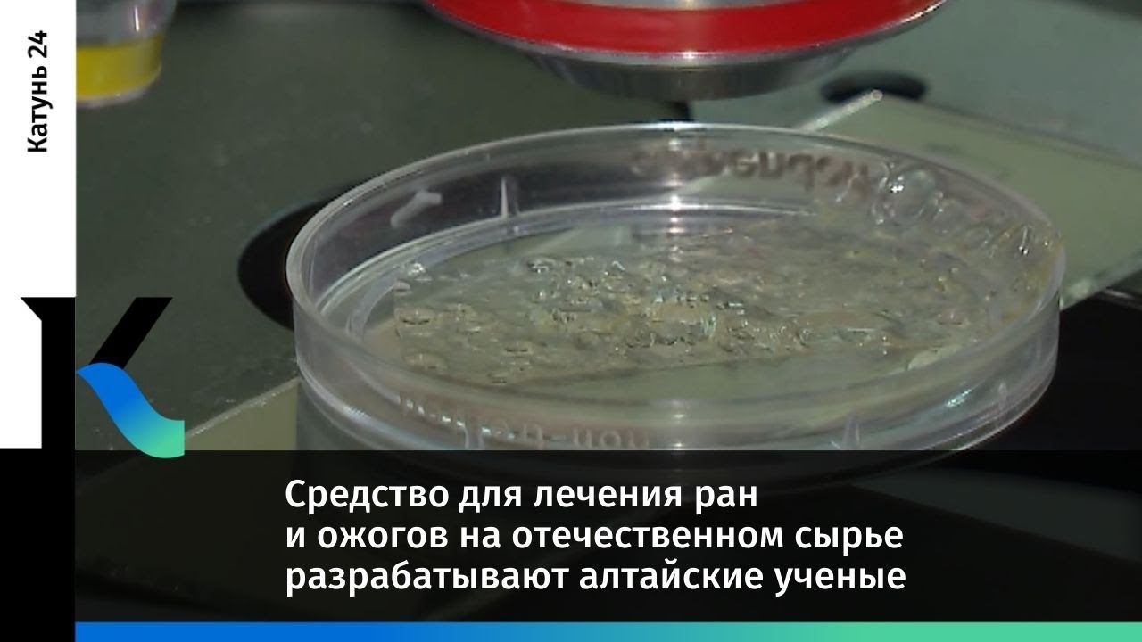 Средство для лечения ран и ожогов на отечественном сырье разрабатывают алтайские ученые