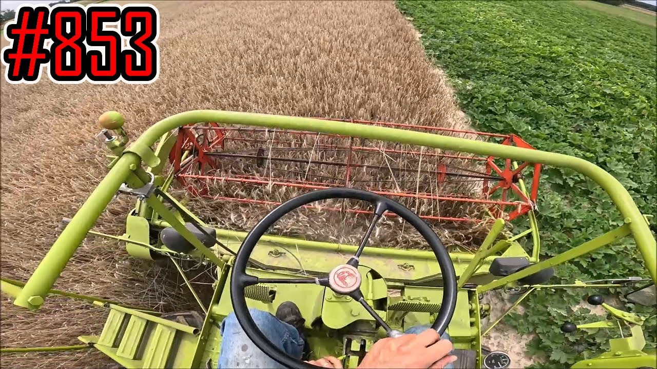 Porównanie żyta hybrydowego/populacyjnego/z zeszłego sezonu, sprawdzam wydajność kombajnu #853