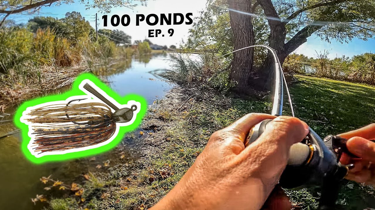 Fishing A JIG For AGGRESSIVE Pond Bass! (100 Ponds Ep. 9)