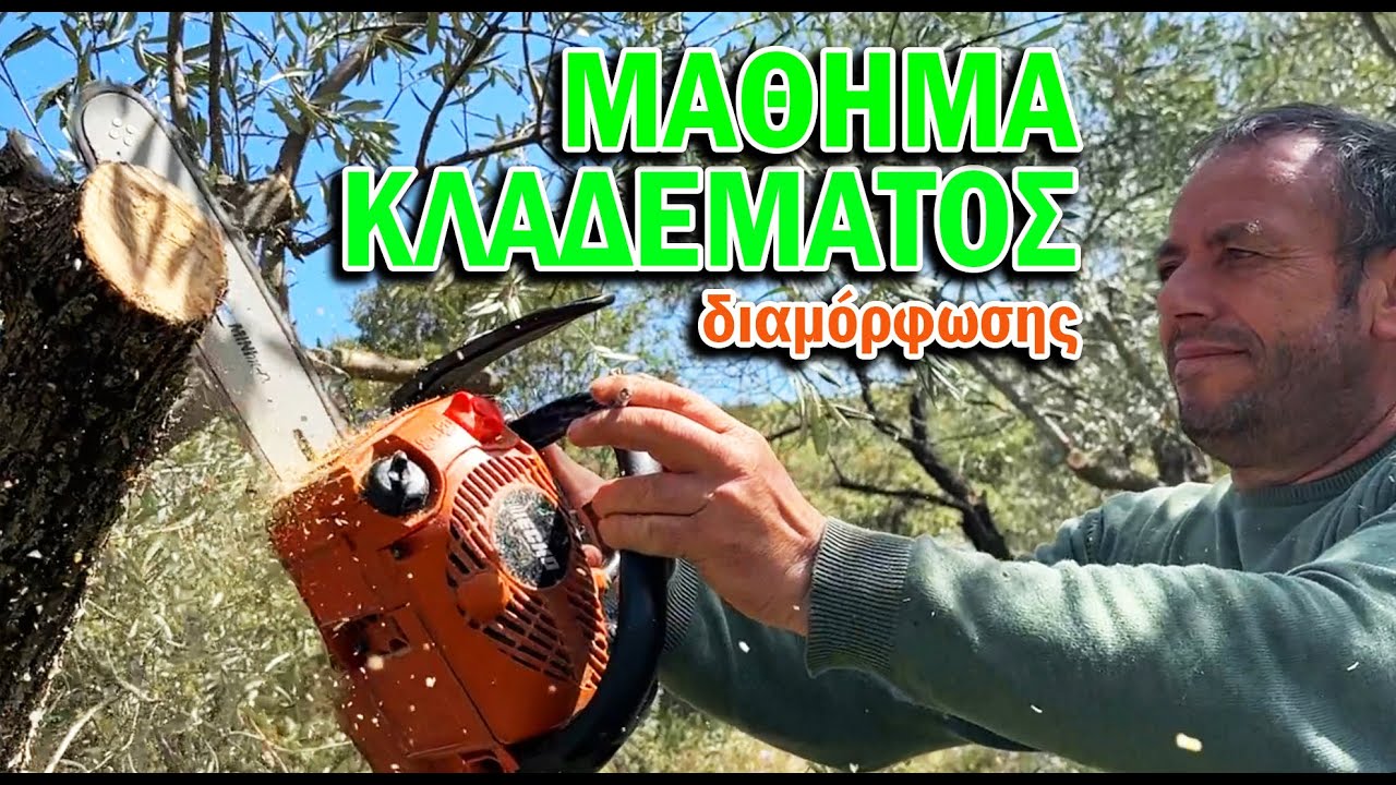 ΚΛΑΔΕΜΑ ΔΙΑΜΟΡΦΩΣΗΣ ΕΛΙΑΣ ΓΙΑ ΑΡΧΑΡΙΟΥΣ