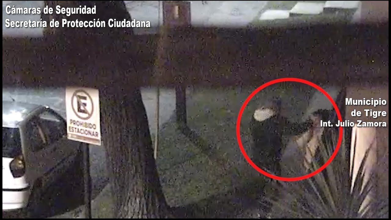 Violencia de género: el COT detuvo a un hombre que agredió a su pareja en El Talar