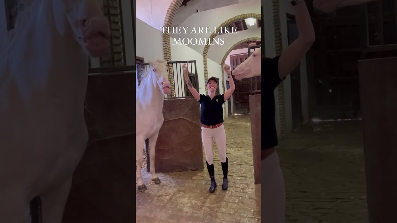 Spanish horses are the best!!!