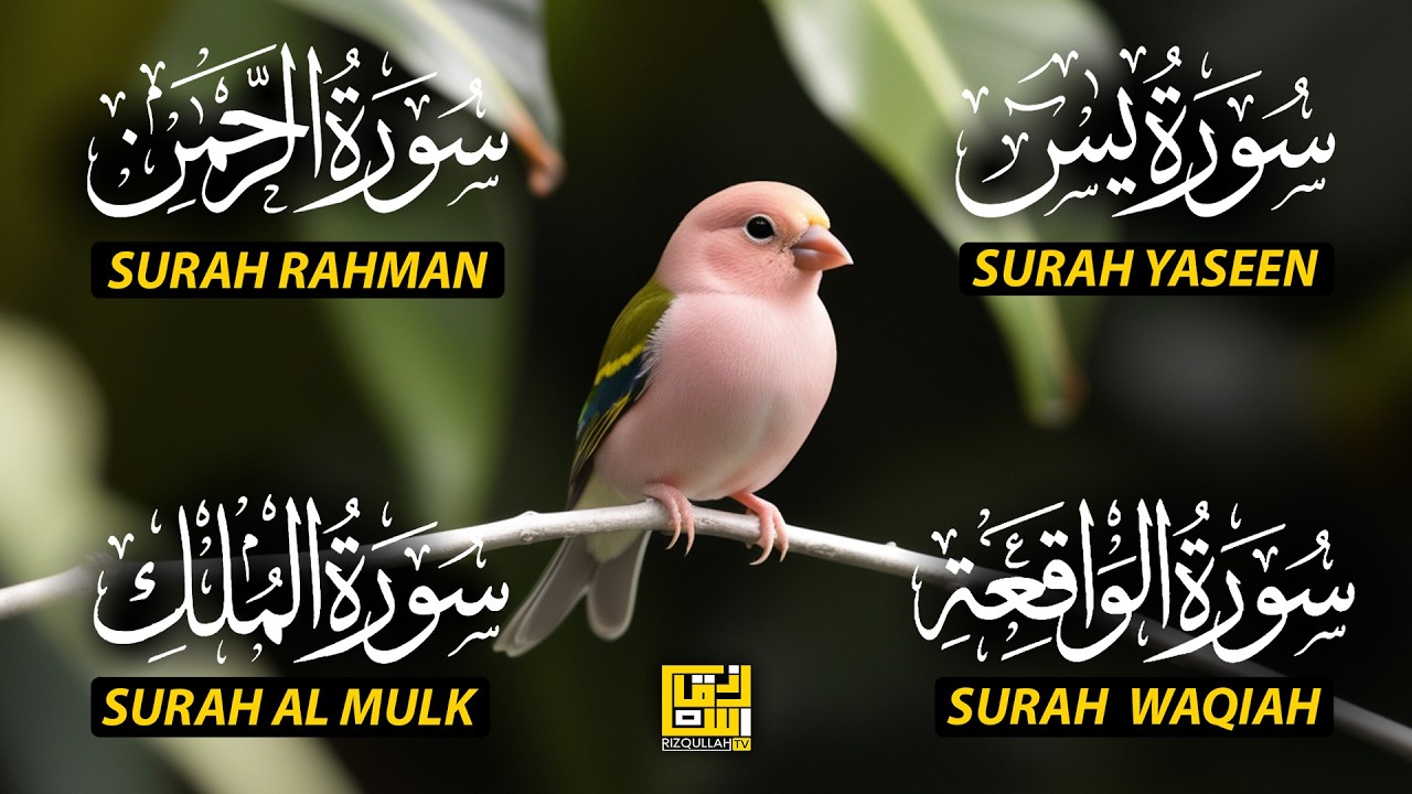 The Best Recitation Surah Yaseen (Yasin) | Surah Rahman | Surah Waqiah | Surah Mulk EP215