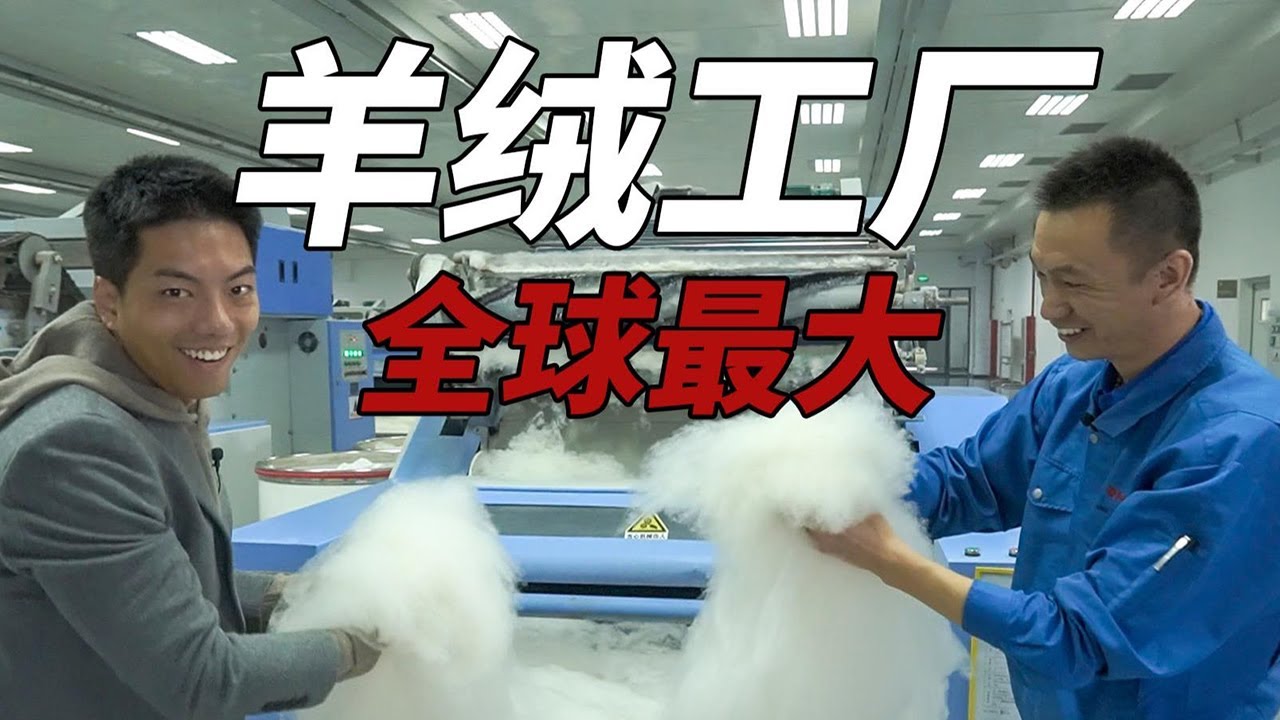 鄂尔多斯看秀 | 探访全球最大的羊绒工厂！【伟大的制造】