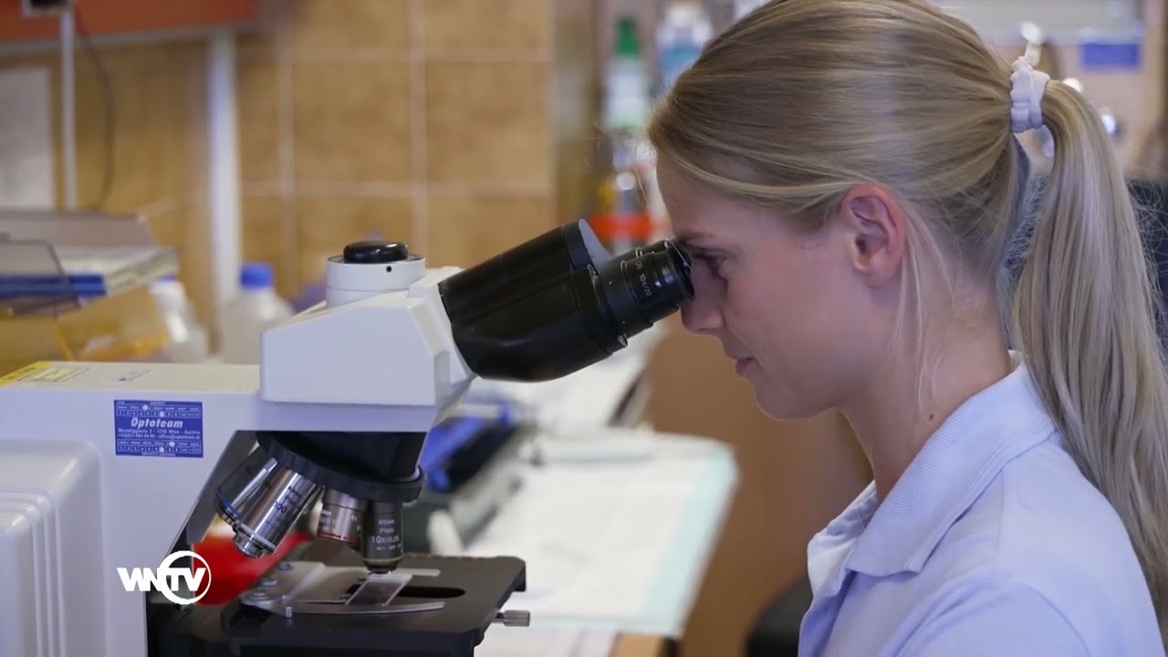 Klinische Institut für Labormedizin in der Thermenregion am UK Wiener Neustadt