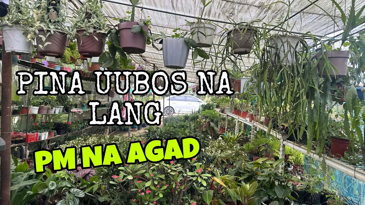 PINA UUBOS NA LANG PM AGAD